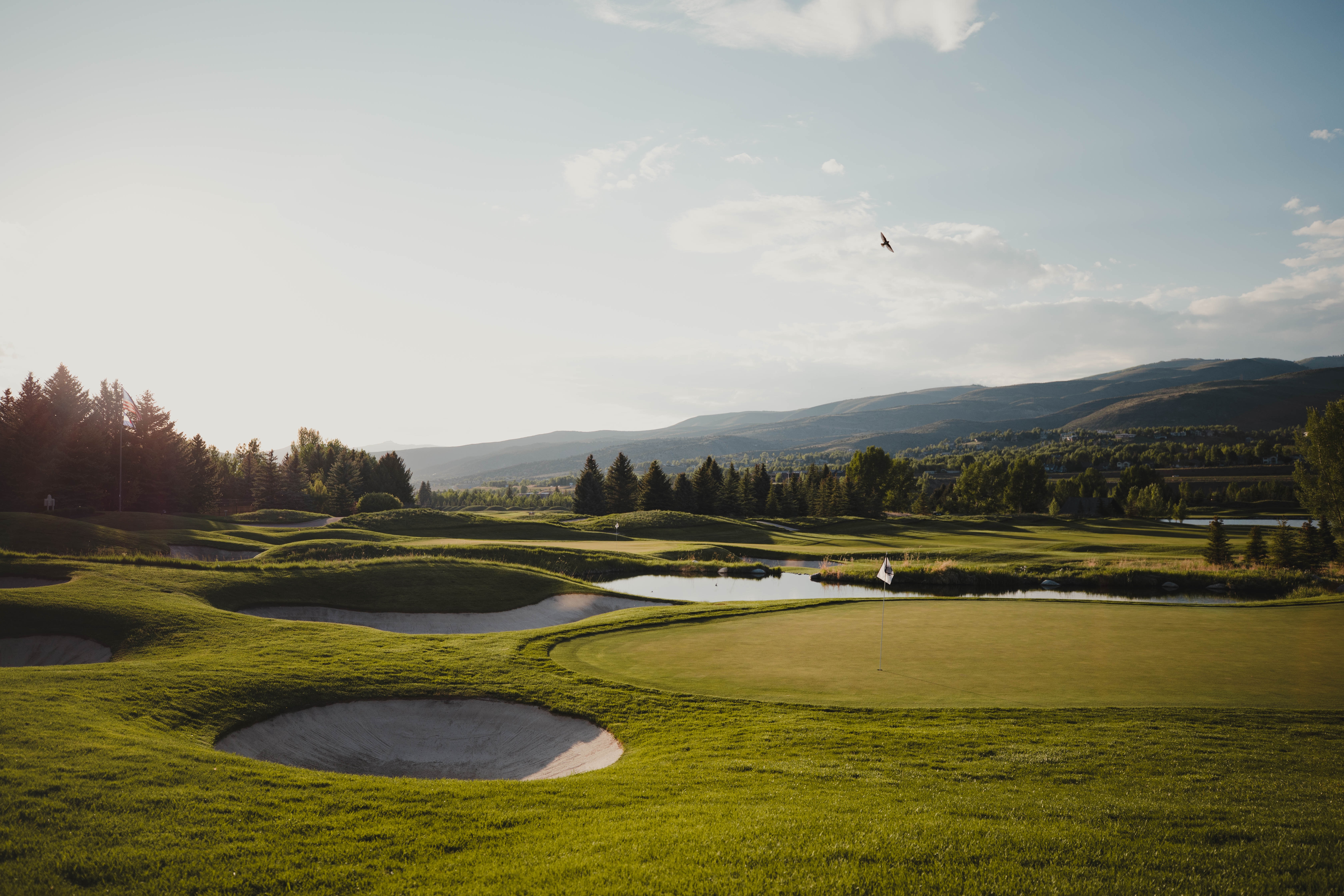 Illustration of golf course