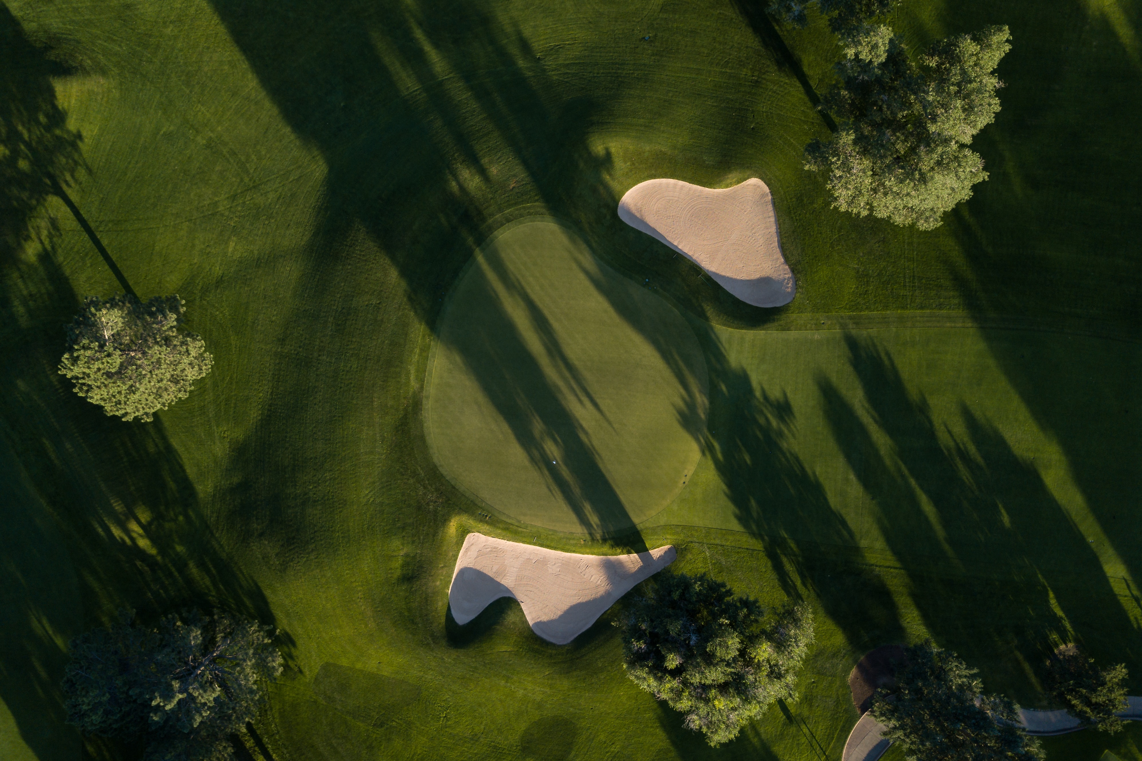 Illustration of golf course