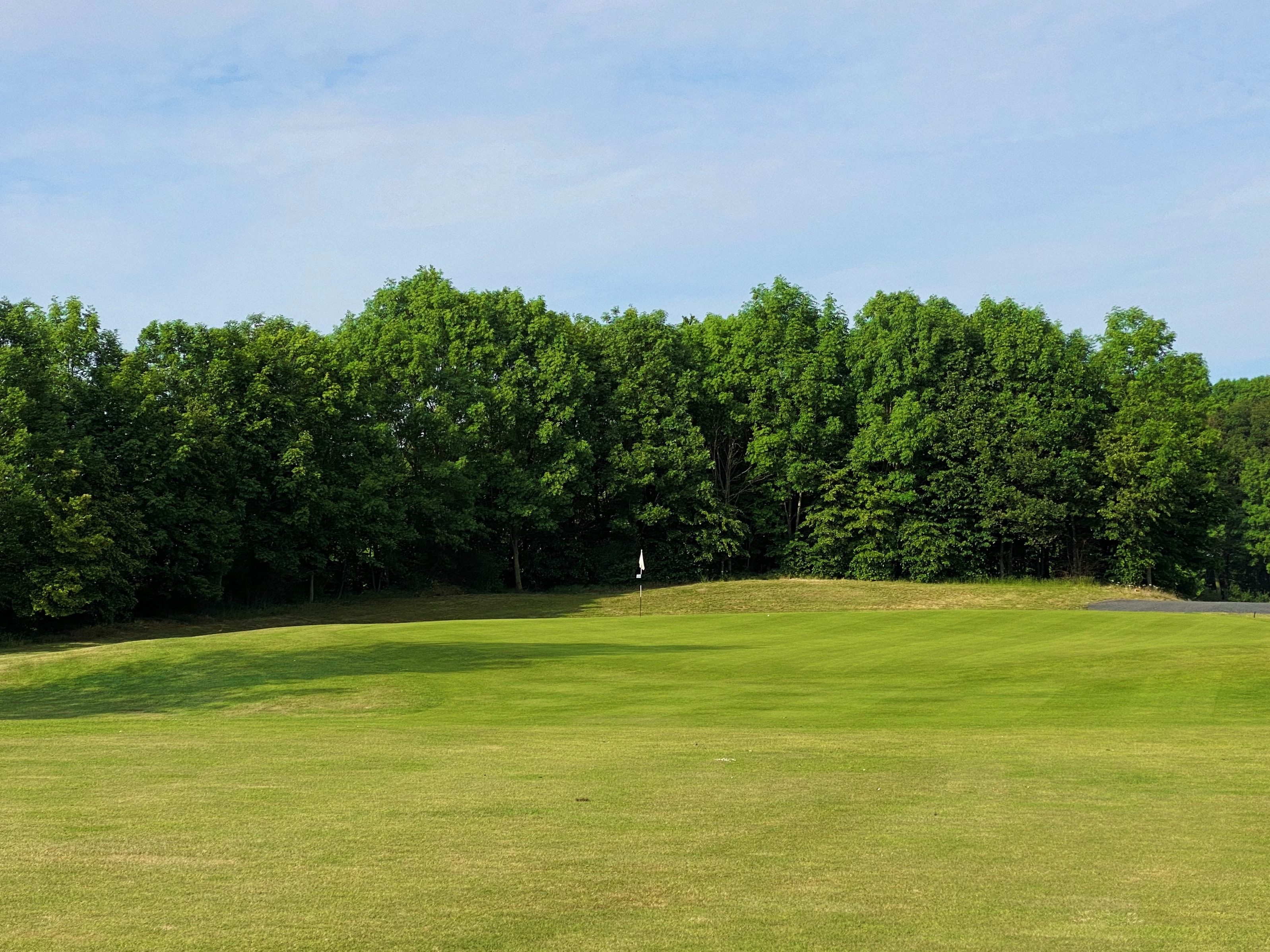 Illustration of golf course
